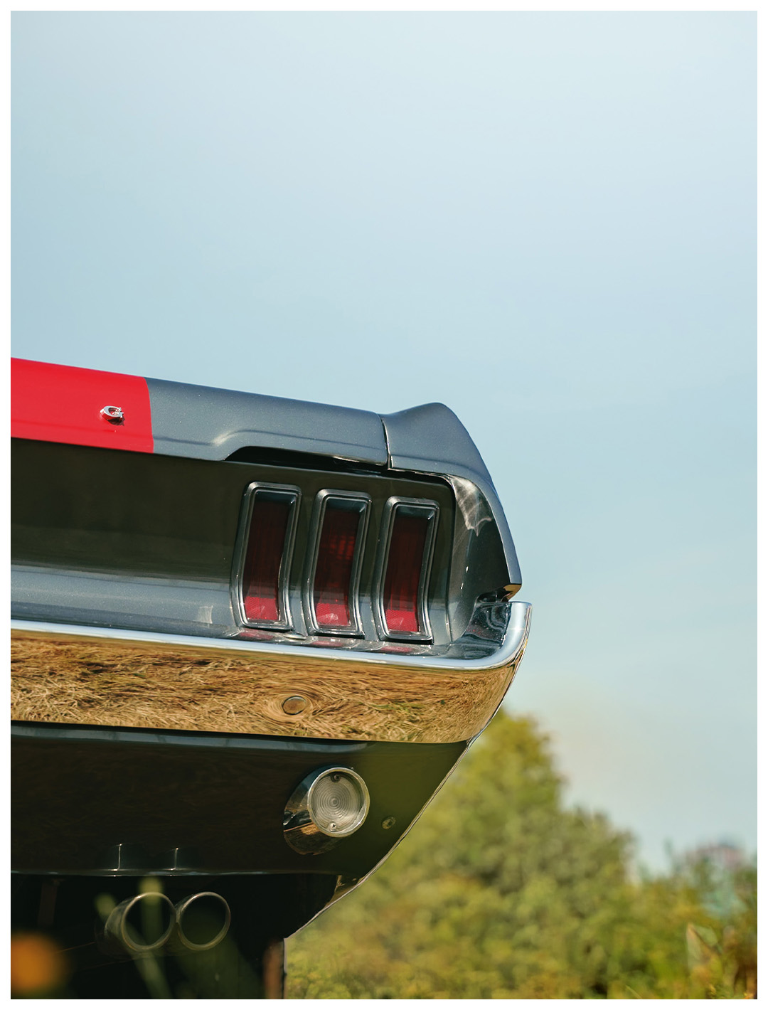 Mustang